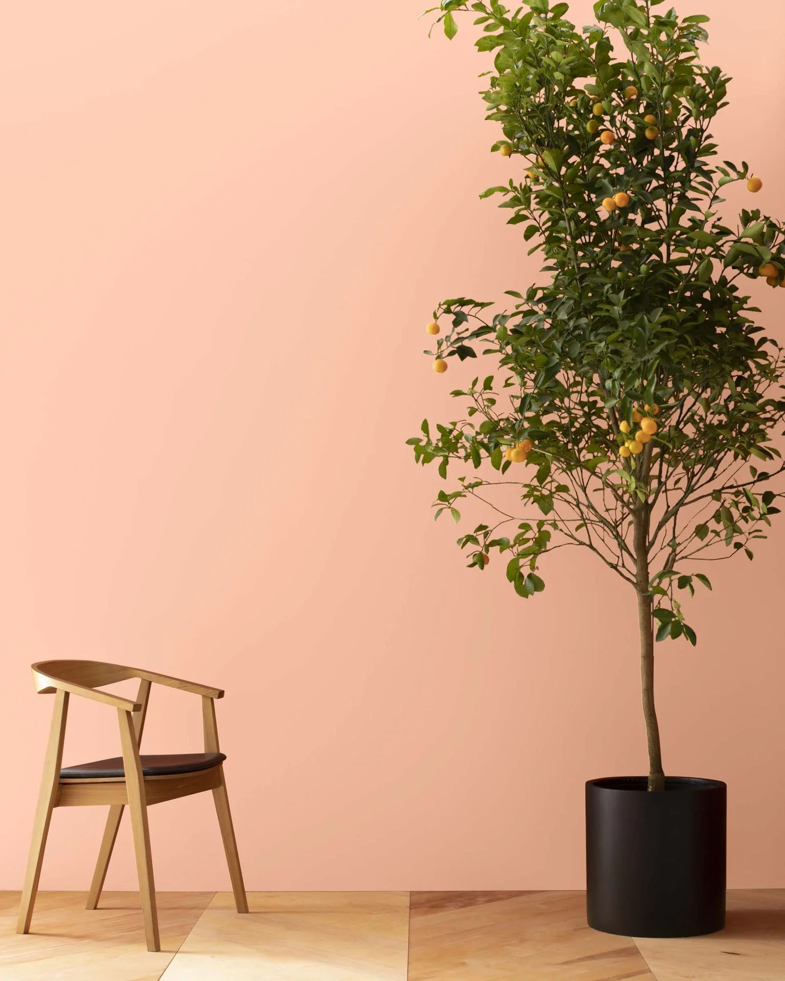 Sanibel Peach 072