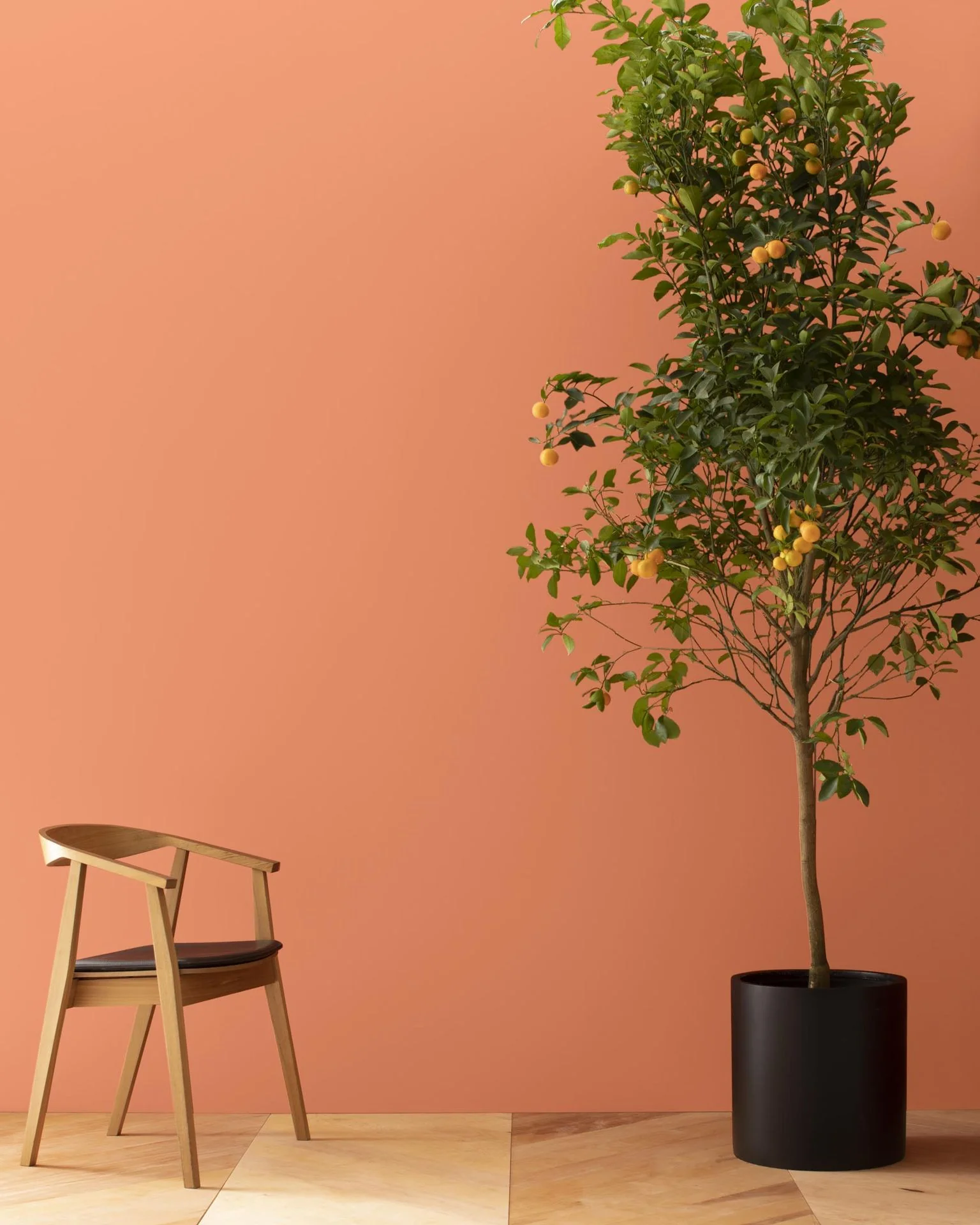 Flamingo Orange 075