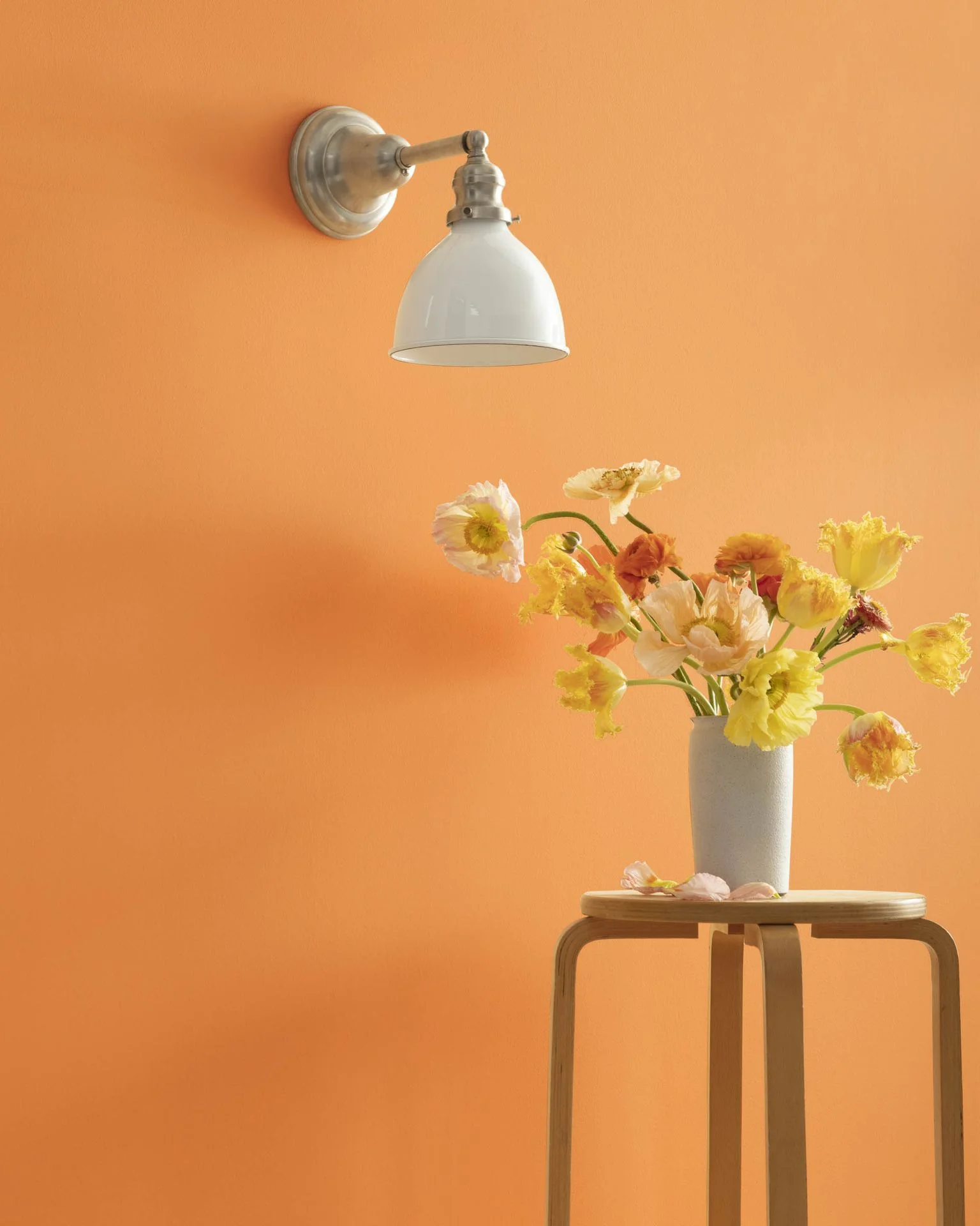 Orange Appeal 124