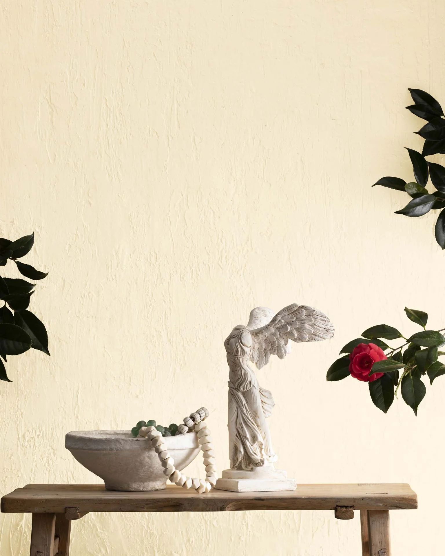 Morning Light 183