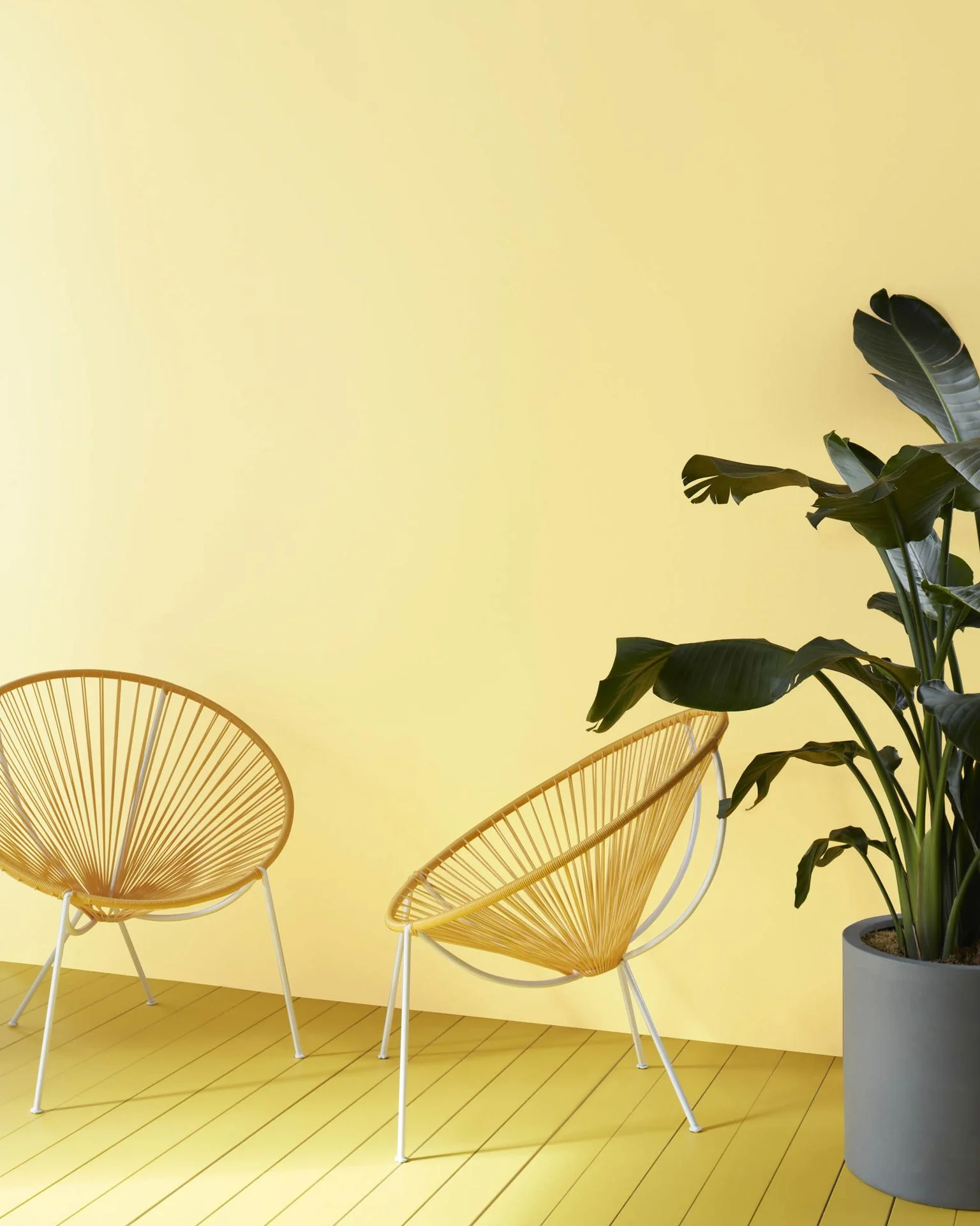 Yellow Lilies 346
