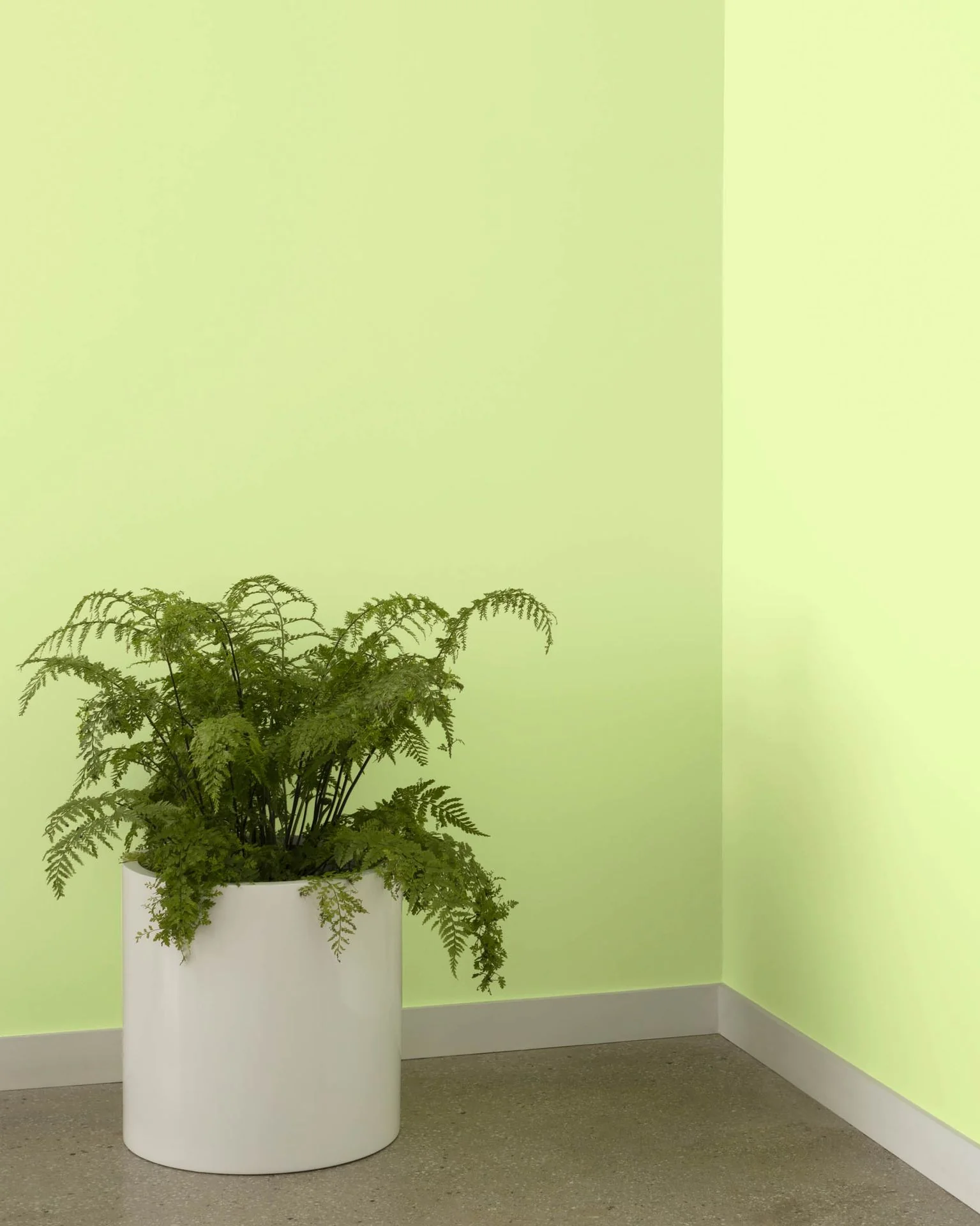 Neon 402