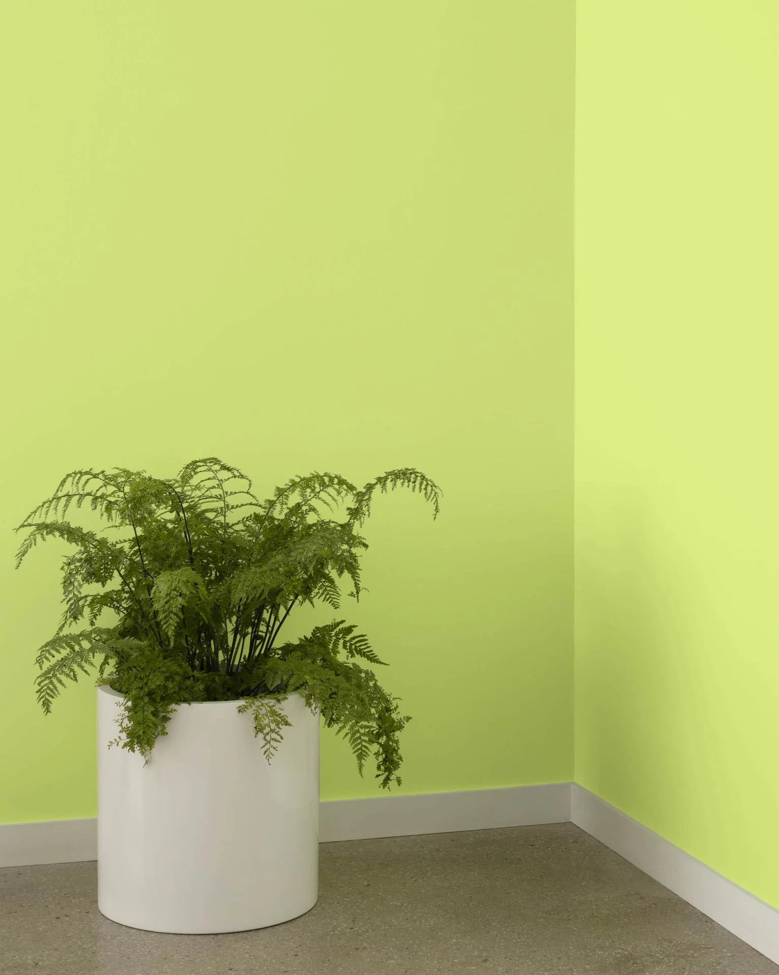 Candy Green 403