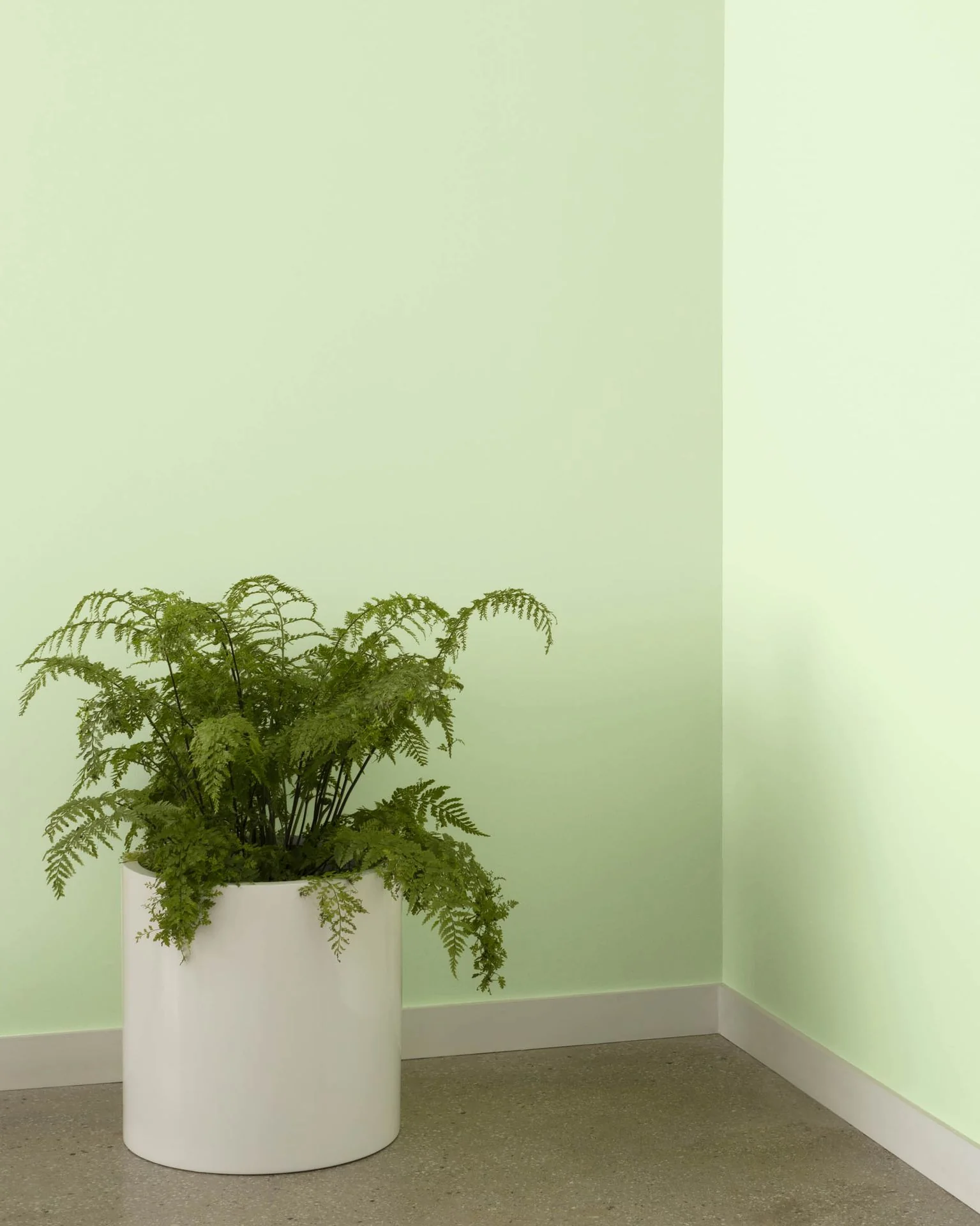 Country Green 540
