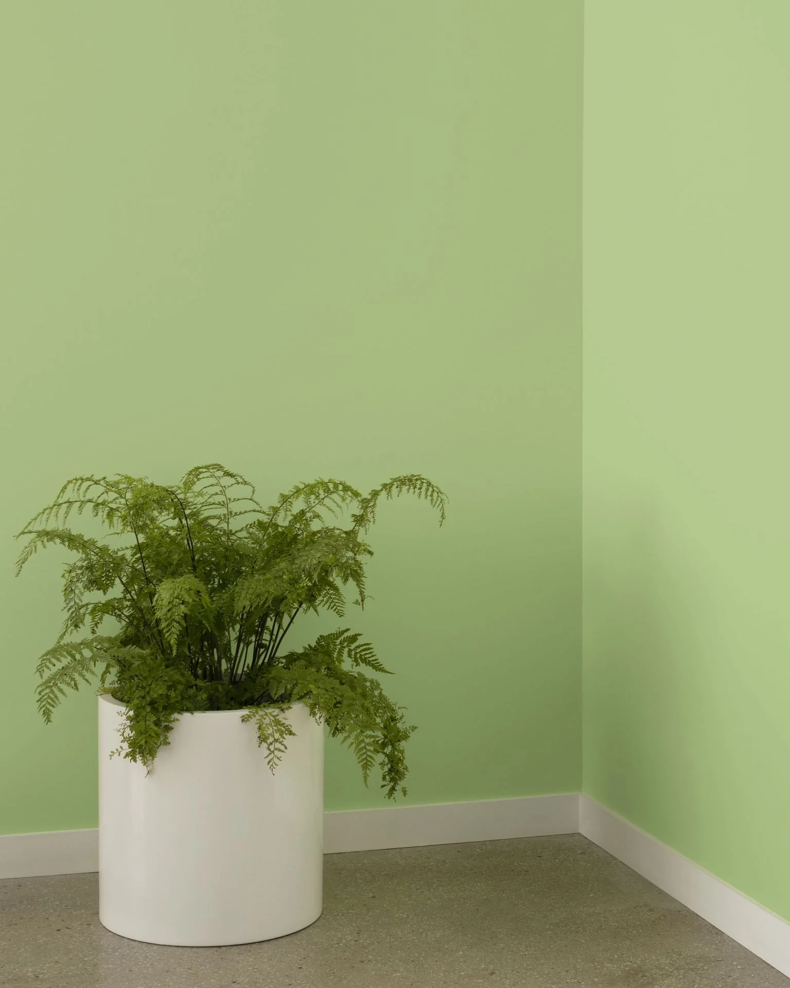 Woodland Hills Green 543