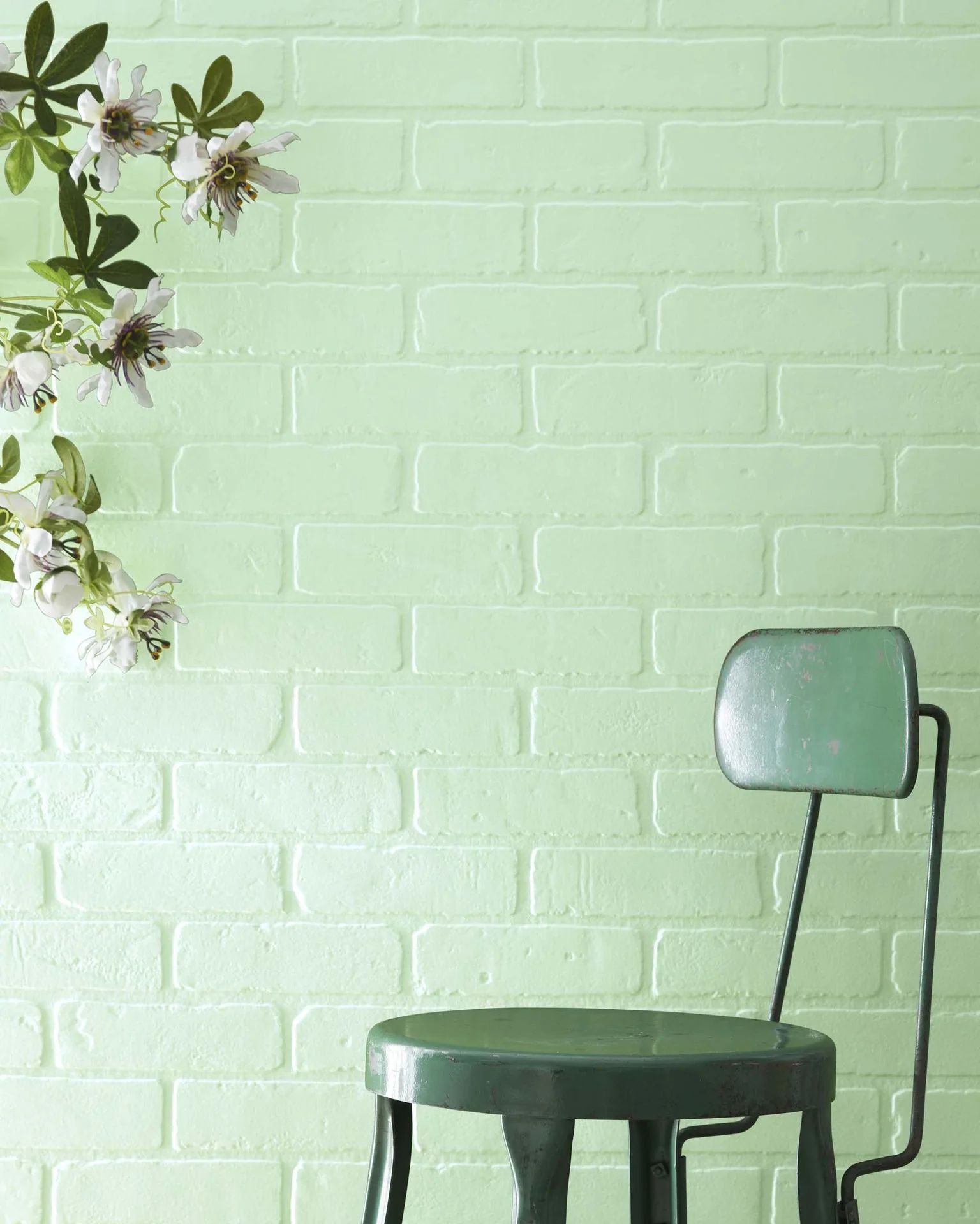 Pistachio 561
