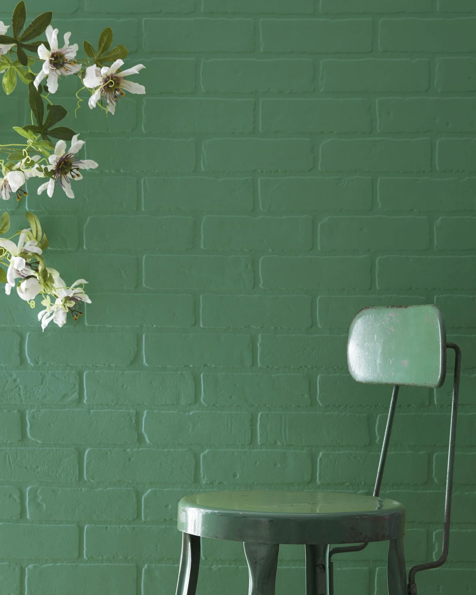 Balsam 567
