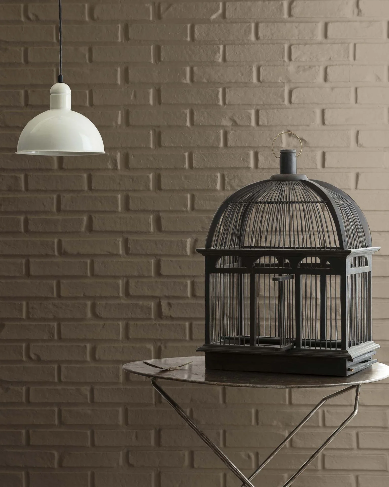 North Creek Brown 1001