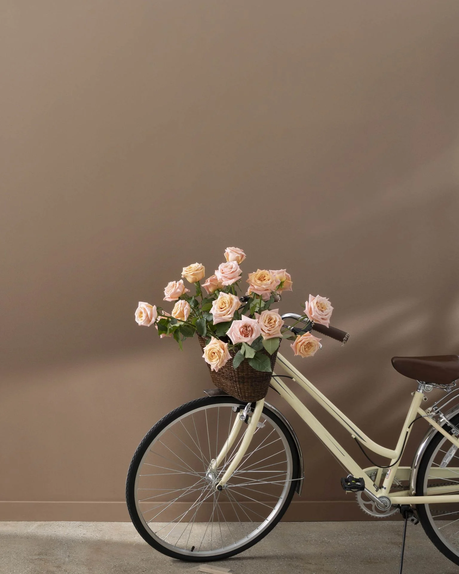 Spanish Brown 1028
