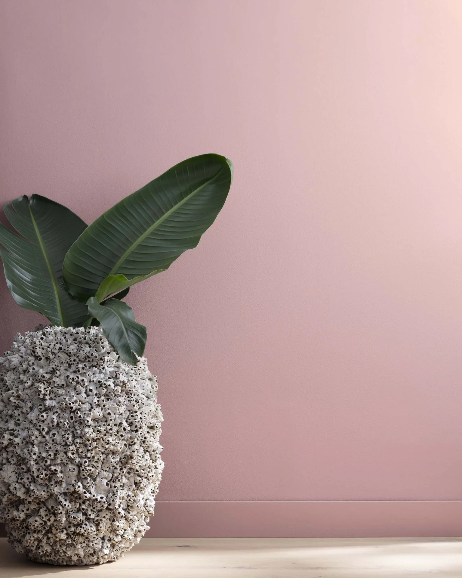 Mauve Mist 1264