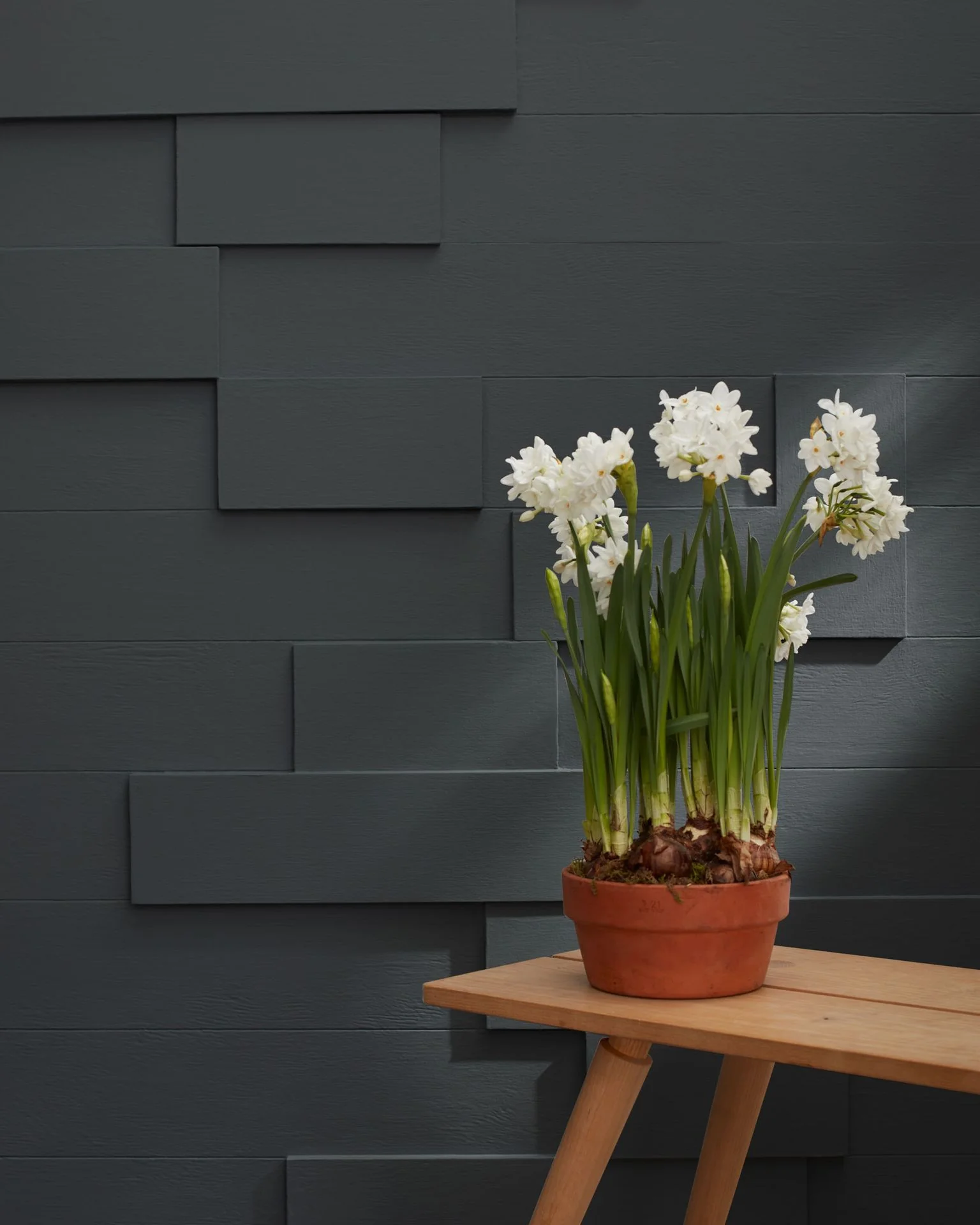 Graphite 1603