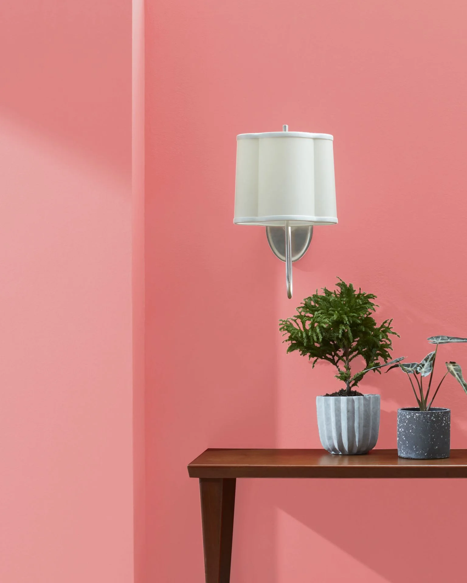 Pink Peach 2009-40
