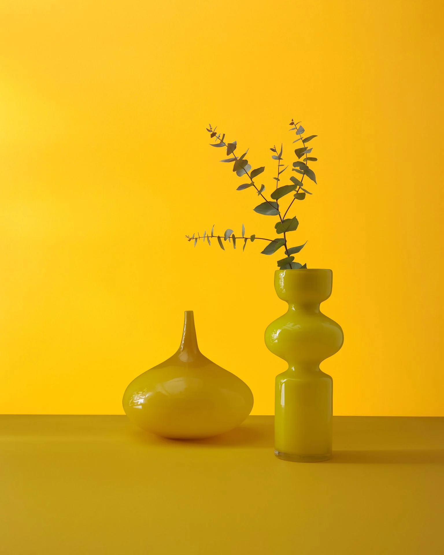 Sunflower 2019-30