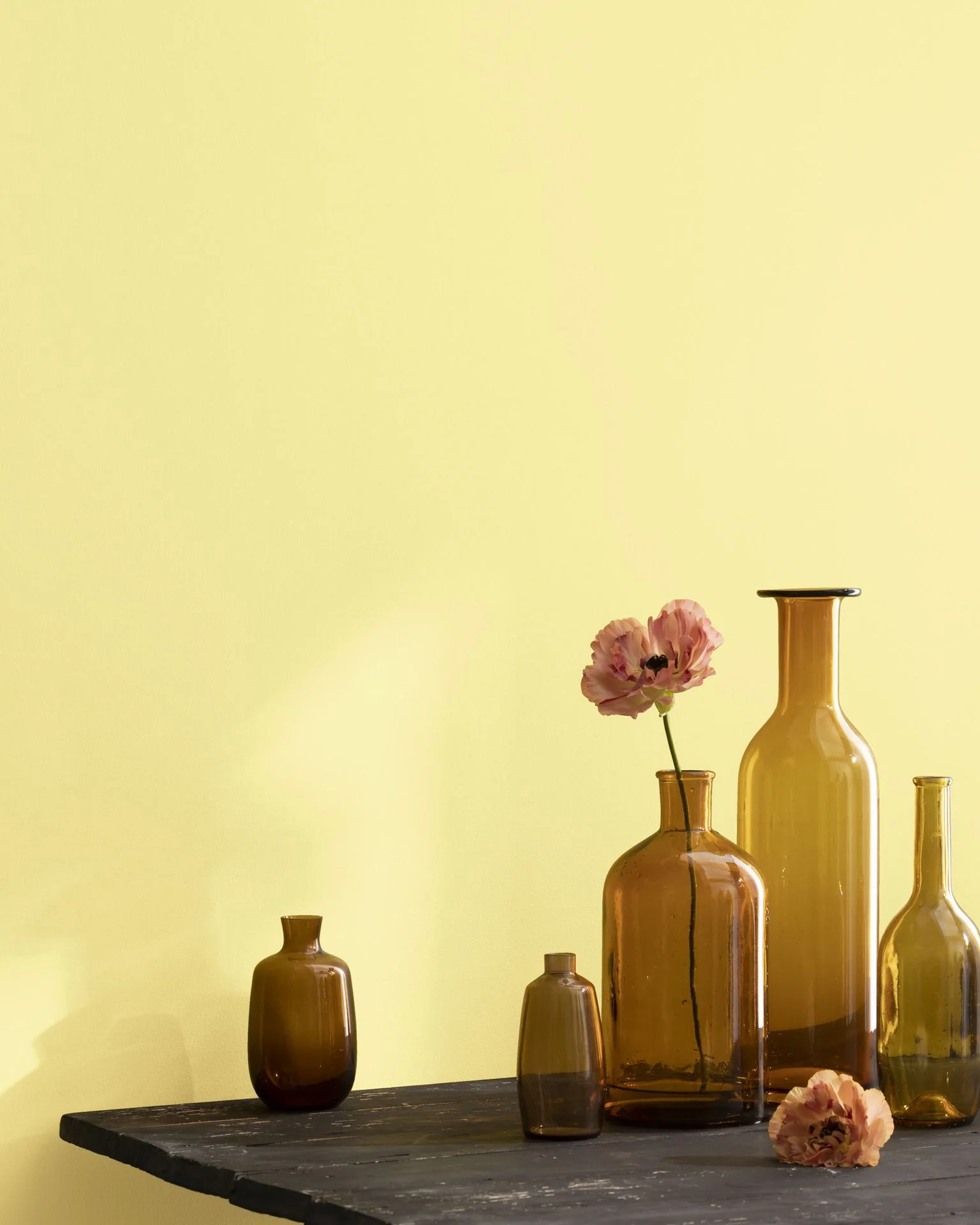 Jasper Yellow 2024-50