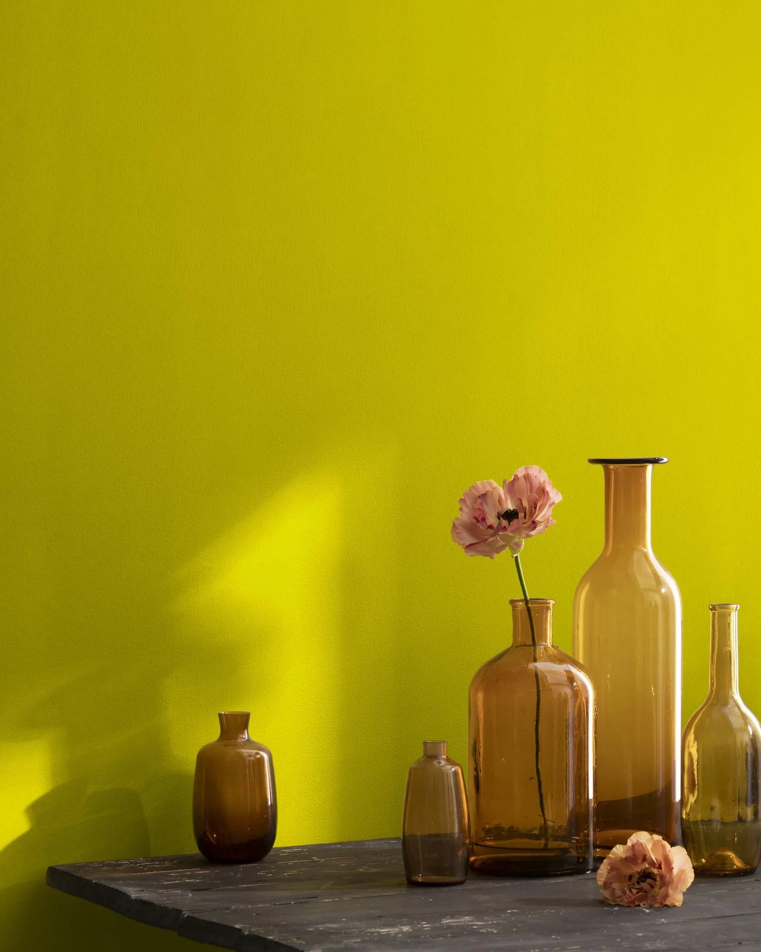 Chartreuse 2024-10