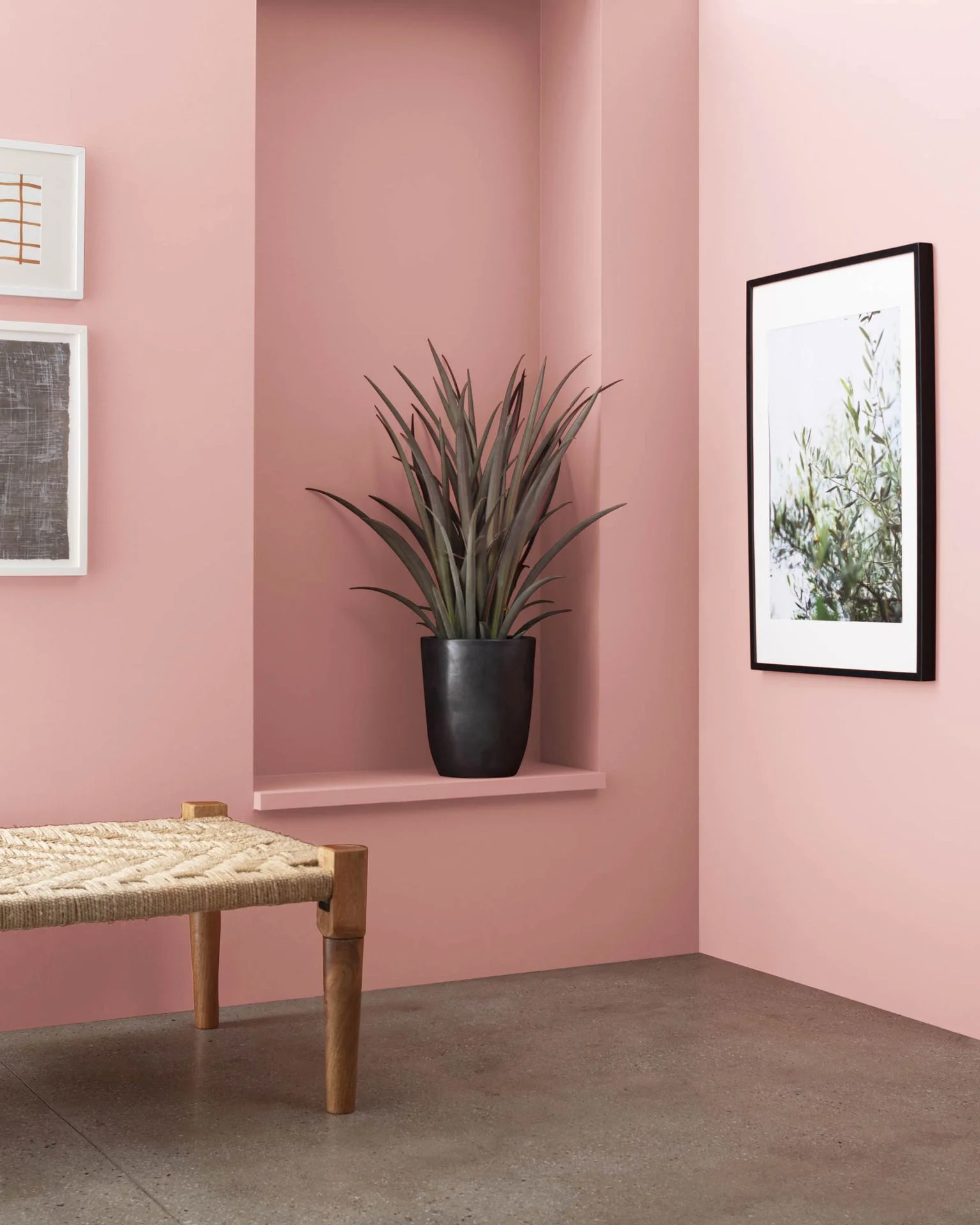 Salmon Berry 2089-50