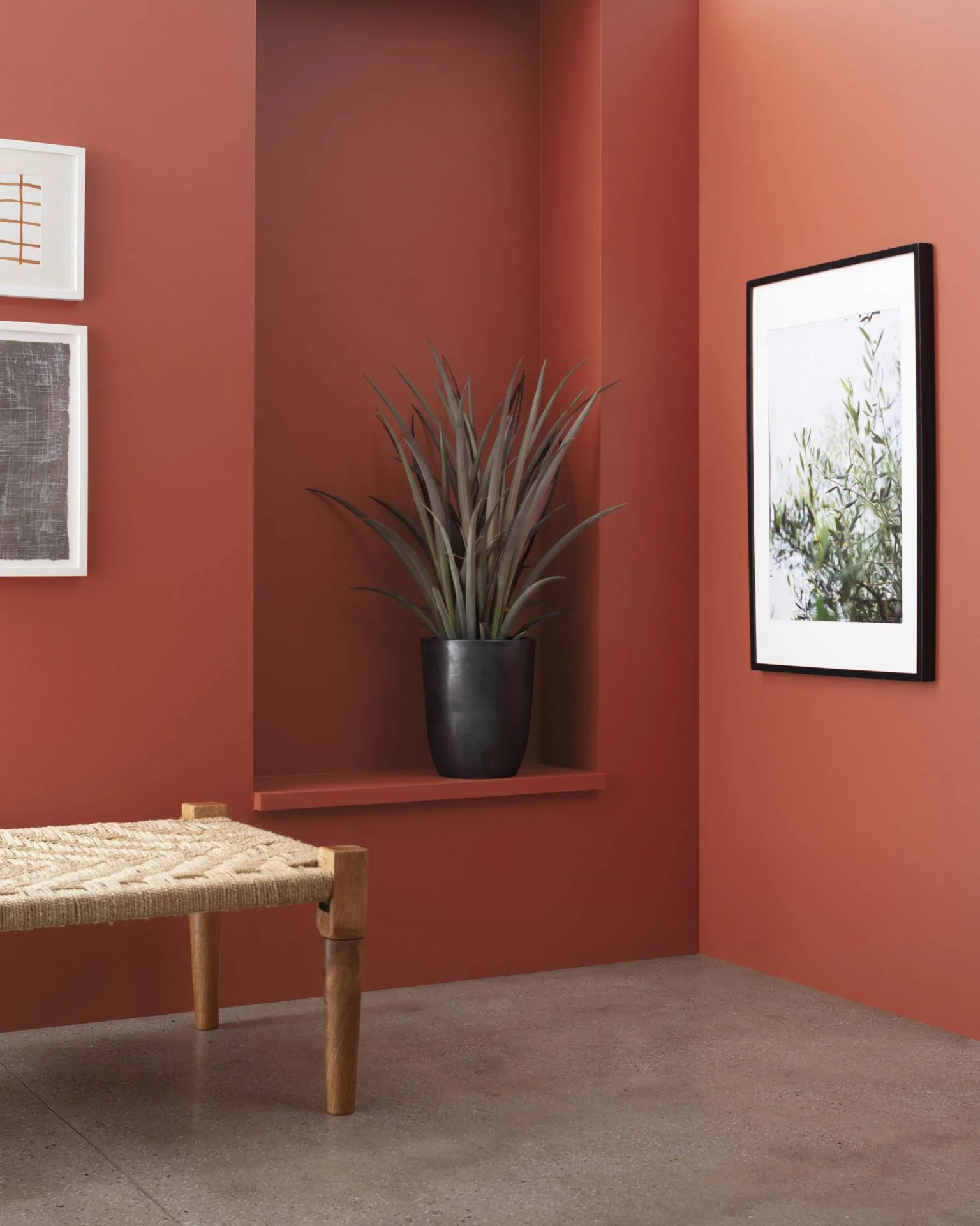 Rosy Peach 2089-20