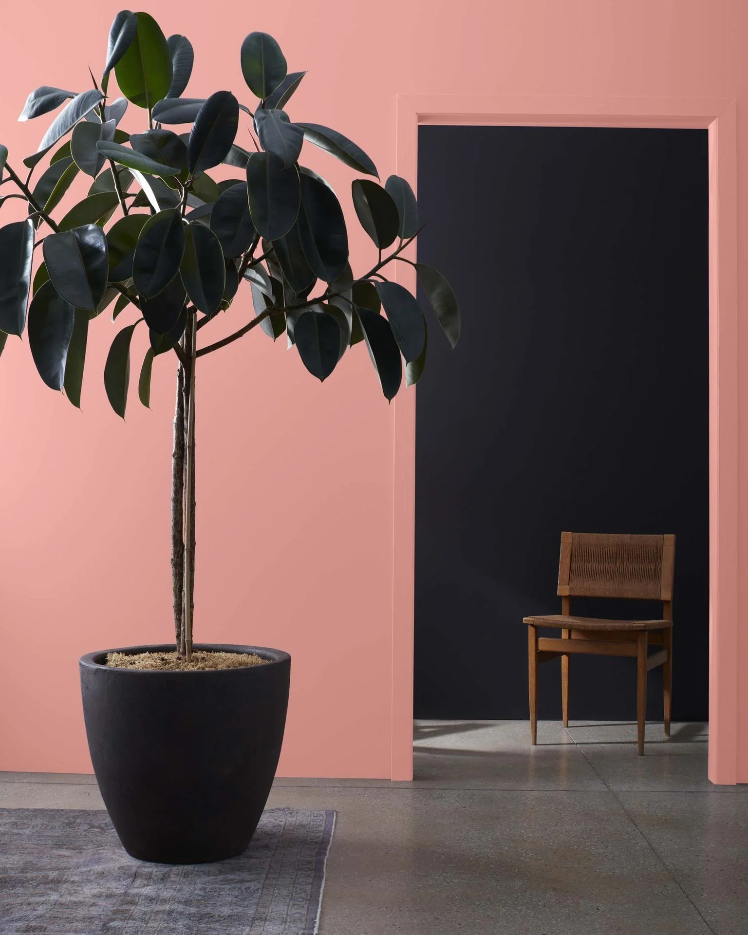 Tender Pink 2090-50