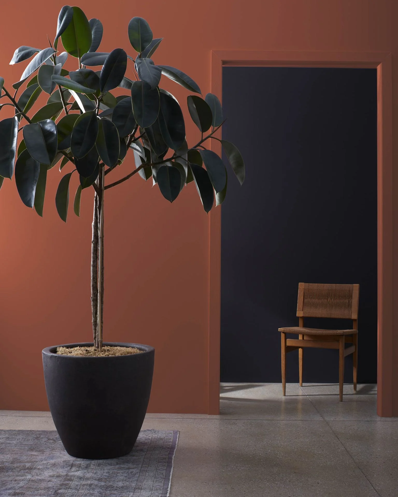 Sienna 2092-20