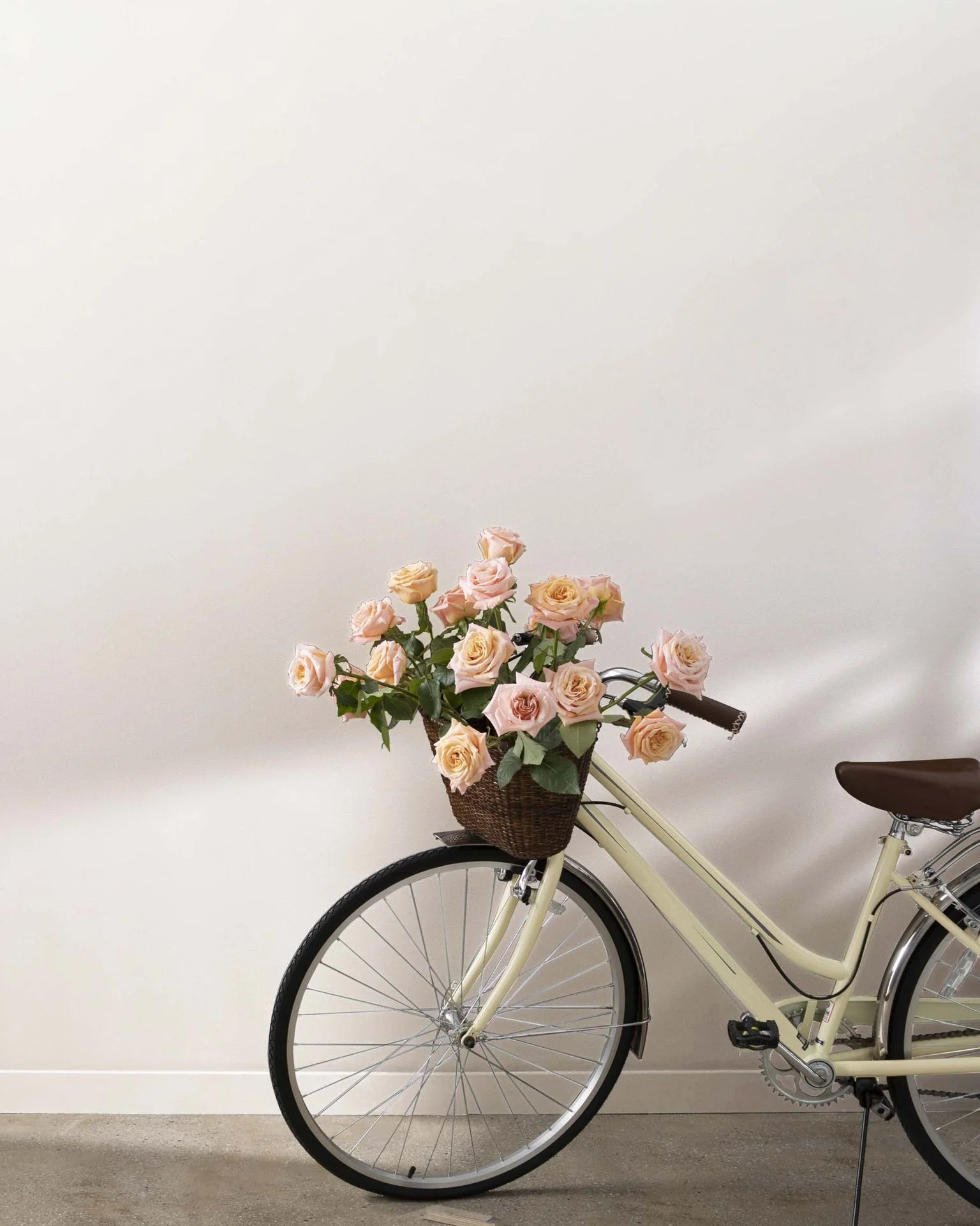 Cloudy Gray 2107-70