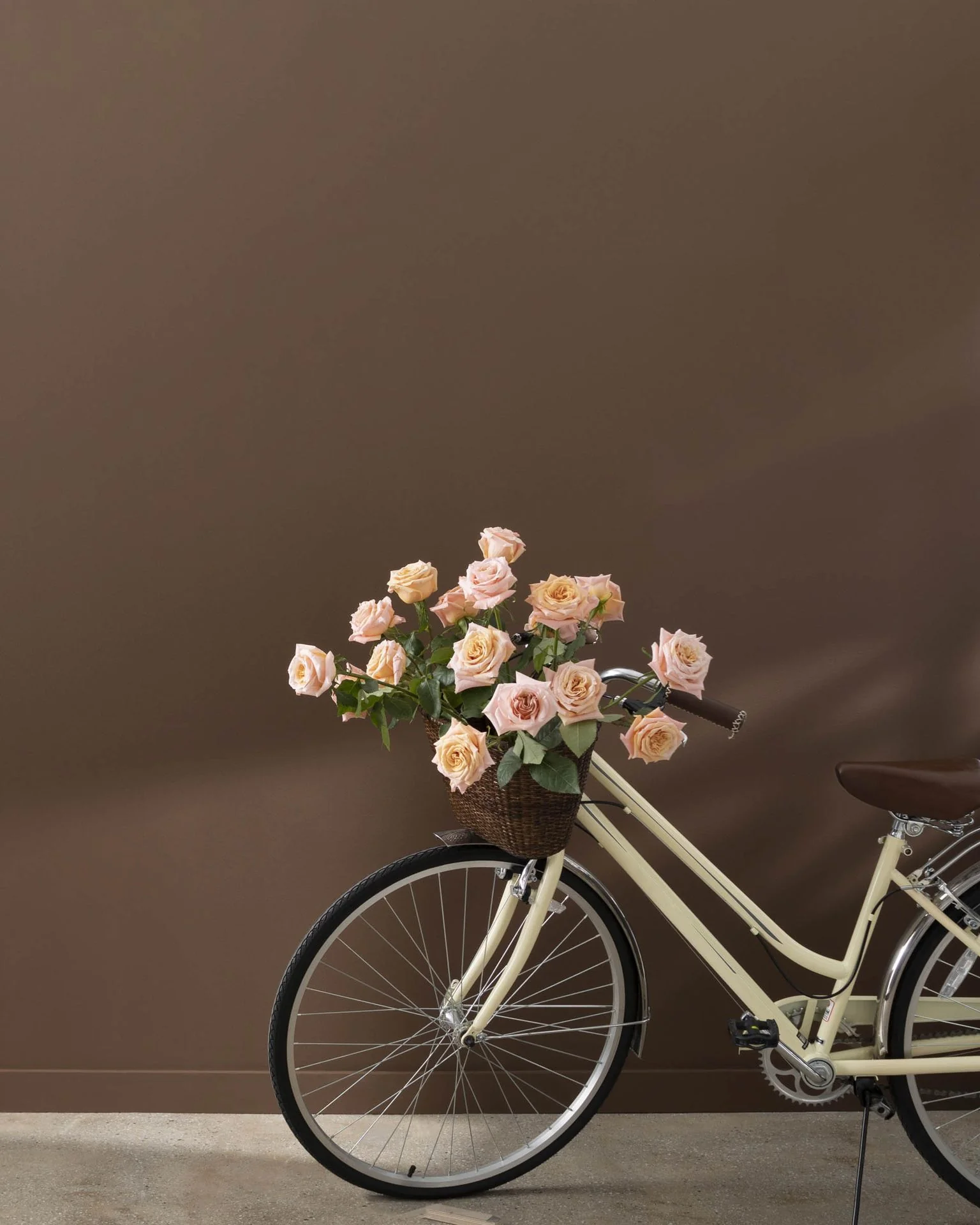 Chocolate Candy Brown 2107-10
