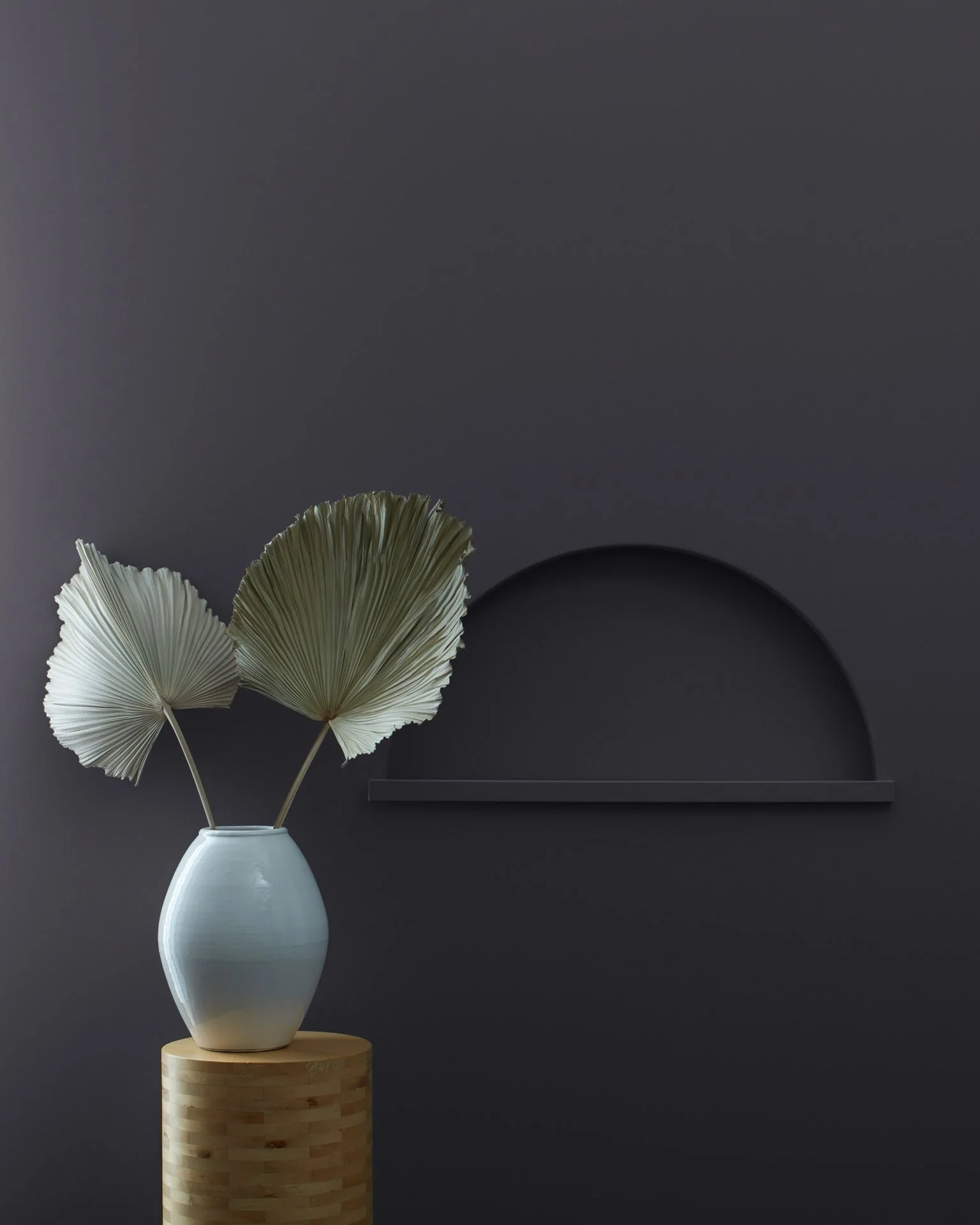 Toucan Black 2118-20