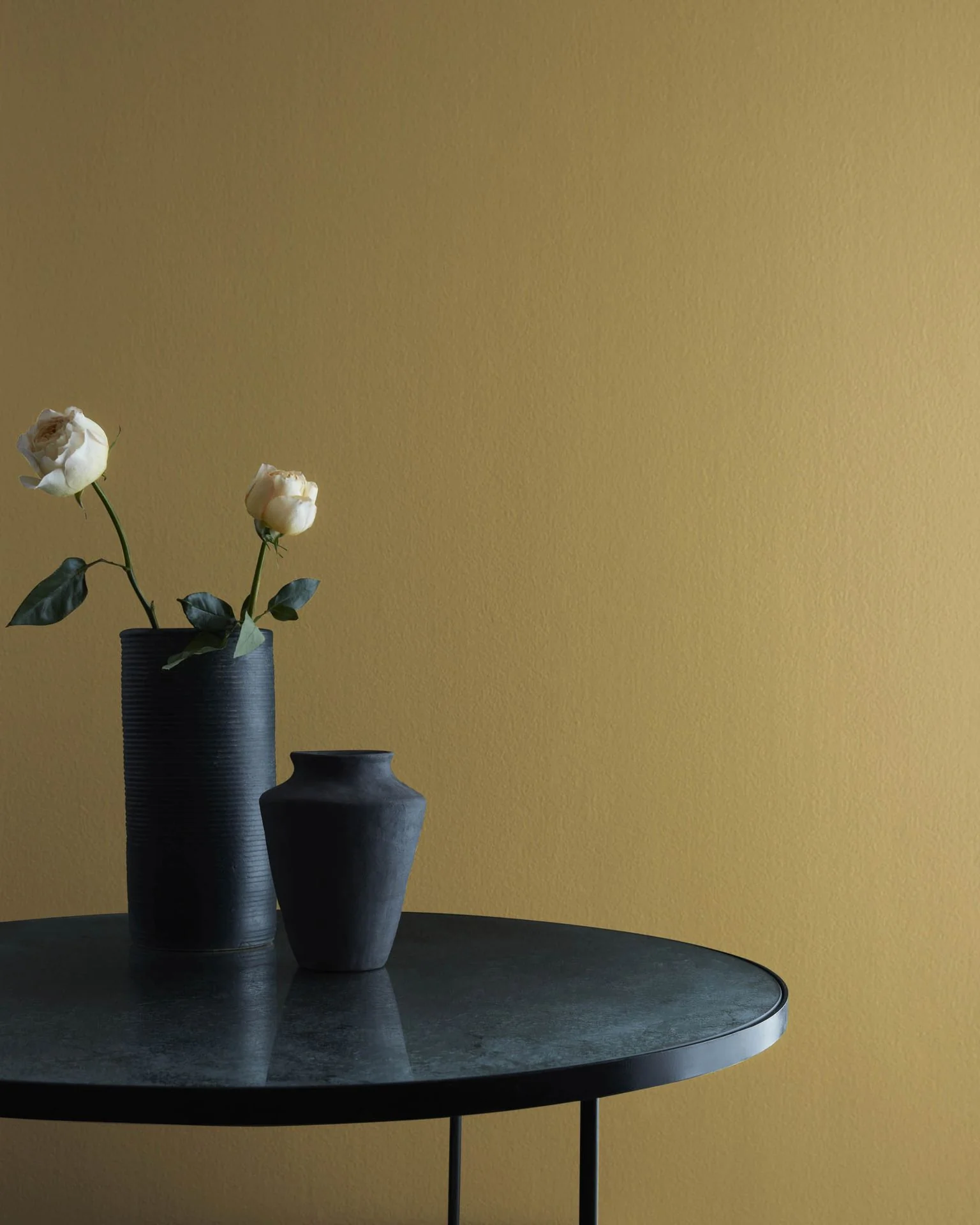 Thyme 2148-20
