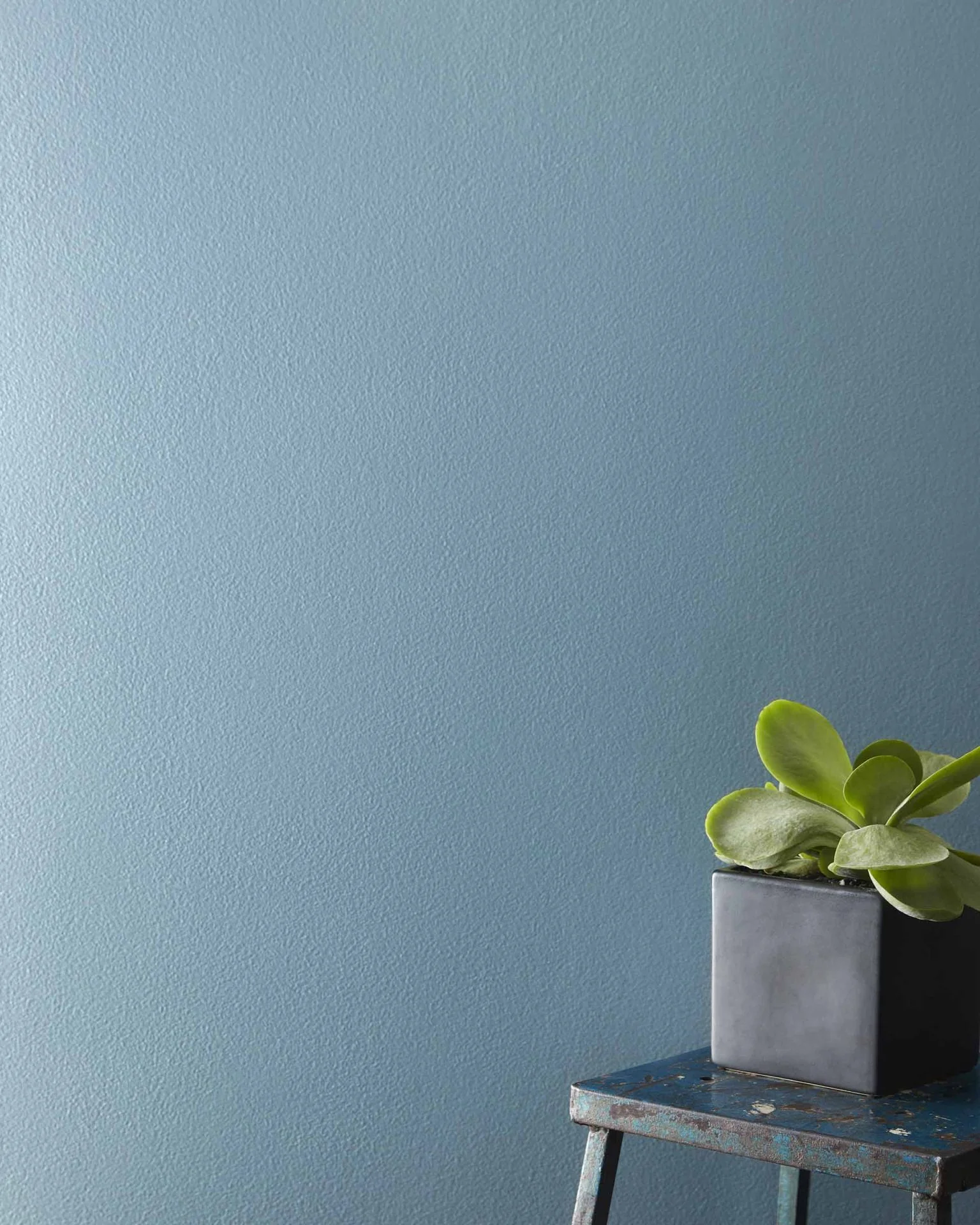 Labrador Blue CC-740