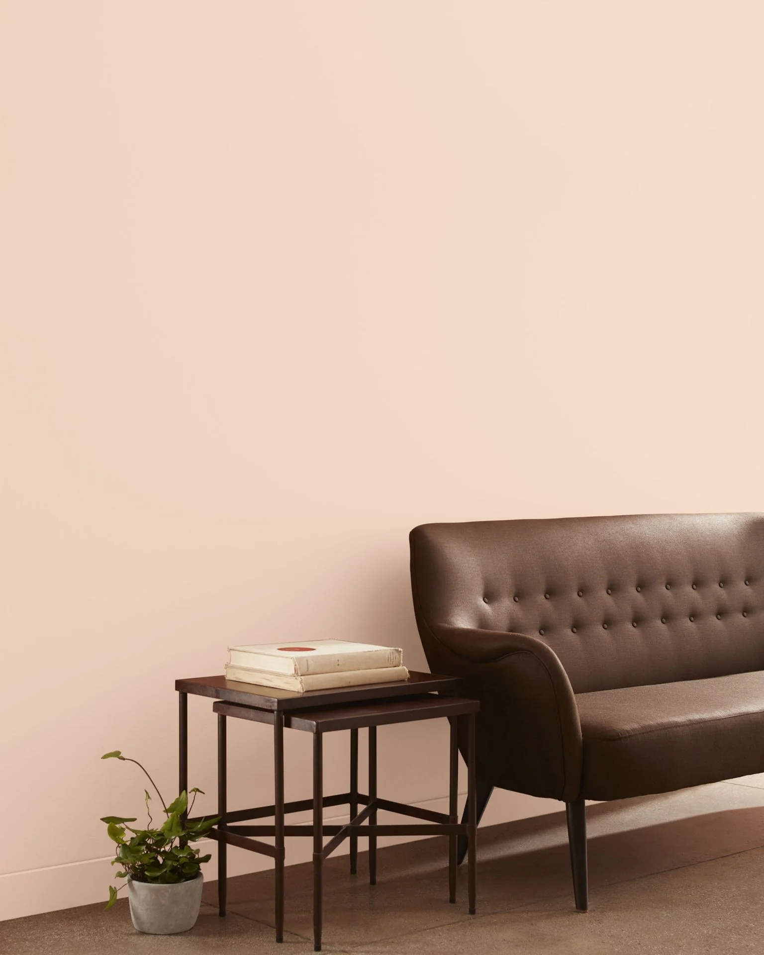 Queen Anne Pink HC-60