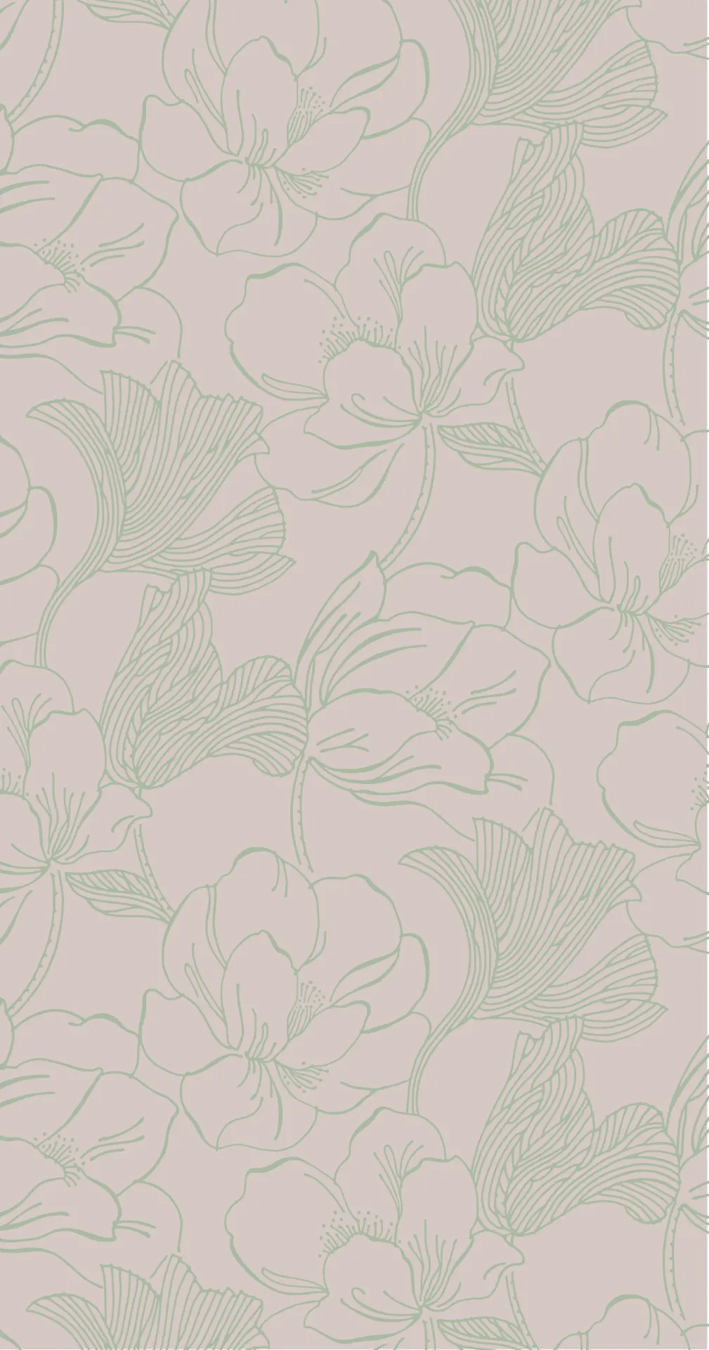 Helleborus