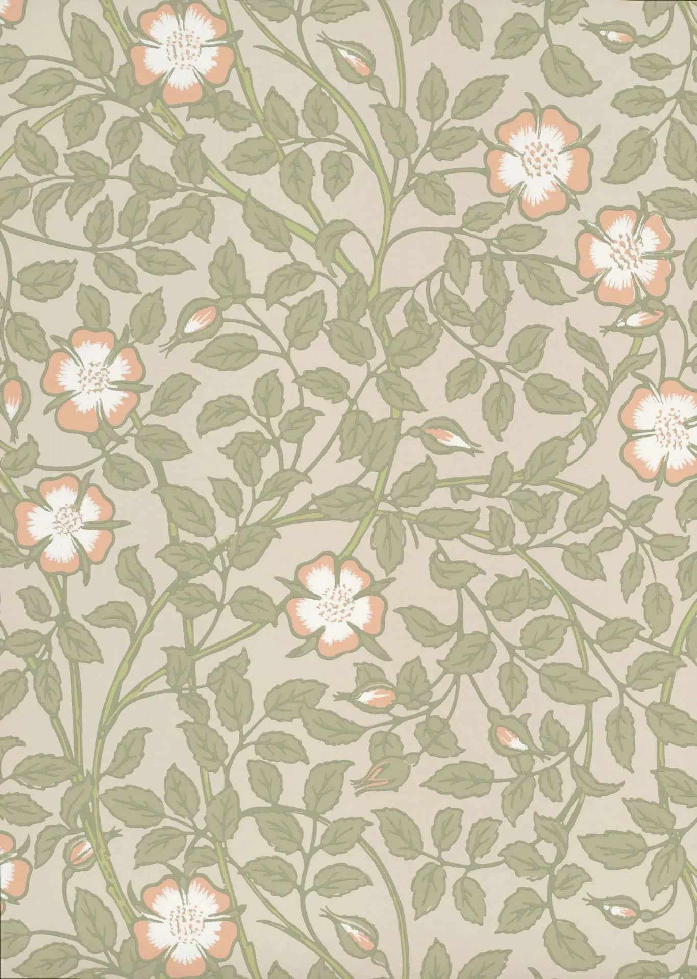 [0263BRGMIST] Briar Rose. National Trust Papers III (GREEN MIST)